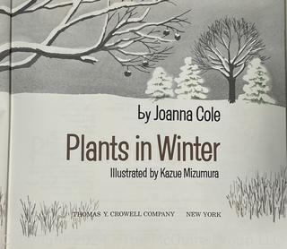 Thirteen (13) Books, Including The Adventures Of Tom Sawyer, "Falcon, Fly Back" By Blaisdell, Plants In Winter By Mizumura, Nursery Friends From France By Olive Beaupre Miller, Last Of The Great Scouts Buffalo Bill By Wetmore & Zane Grey, Wild Grizzlies Of Alaska By Holzworth 