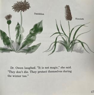 Thirteen (13) Books, Including The Adventures Of Tom Sawyer, "Falcon, Fly Back" By Blaisdell, Plants In Winter By Mizumura, Nursery Friends From France By Olive Beaupre Miller, Last Of The Great Scouts Buffalo Bill By Wetmore & Zane Grey, Wild Grizzlies Of Alaska By Holzworth 