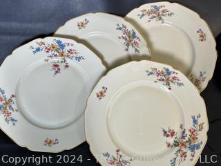 Collection of Mixed Porcelain Plates Including H&C Heinrich 