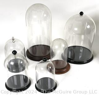 Six (6) Glass and Plastic Cloches with Wood Bases  