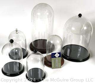 Six (6) Glass and Plastic Cloches with Wood Bases  