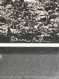 Framed Under Glass Large Format Black & White Photograph of Tree Signed by Photographer Sam Pathi. 27" x 33"  