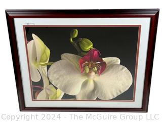 Framed Under Glass Large Format Color Photograph of Orchid Signed by Photographer Sam Pathi.  27" x 31" 