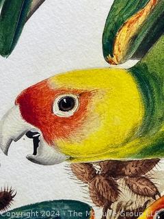 New York Historical Society Edition of Audubon's Fifty Best Watercolors. Printed by  Oppenheimer circa 2006. Plate 26 "Carolina Parakeet" Print #144/200. Floating Framed Using UV Blocking and Anti-Reflecting Museum Glass. Inside Dimensions 21 x 29 5/8" Outside Dimensions 28 1/4 x 36 1/4"