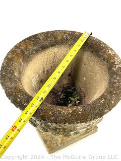 Heavy Urn Shaped Cement Planter.  Second of two offered in this auction