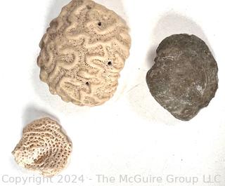 Two (2) Serving Trays, Rocks and Coral, Mounted Mayan Figure, & Jasperware Box