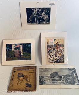 Five (5) Unframed Matted Photos, Advertising, Lithographes and A Town Dog in The Country by G Vernon Stokes Book Page