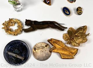 Group of Costume Jewelry Pins