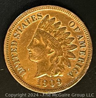 1909 (P) Indian Head Cent Coin