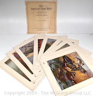 Our American Game Birds Portfolio Prints by Lynn Bogue Hunt 1917 E. I. Dupont