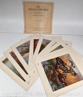 Our American Game Birds Portfolio Prints by Lynn Bogue Hunt 1917 E. I. Dupont