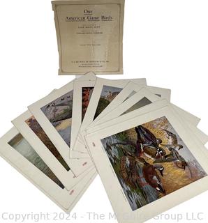 Our American Game Birds Portfolio Prints by Lynn Bogue Hunt 1917 E. I. Dupont