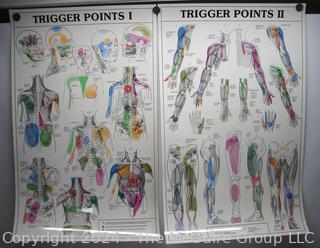 Laminated Posters (x2): Trigger Points 1 & 2 Anatomical Diagram Guide Chart Anatomy Posters (was DD1014)