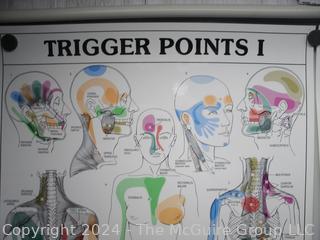 Laminated Posters (x2): Trigger Points 1 & 2 Anatomical Diagram Guide Chart Anatomy Posters (was DD1014)