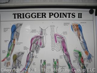 Laminated Posters (x2): Trigger Points 1 & 2 Anatomical Diagram Guide Chart Anatomy Posters (was DD1014)