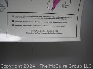 Laminated Posters (x2): Trigger Points 1 & 2 Anatomical Diagram Guide Chart Anatomy Posters (was DD1014)