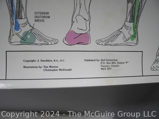 Laminated Posters (x2): Trigger Points 1 & 2 Anatomical Diagram Guide Chart Anatomy Posters (was DD1014)