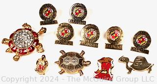 University of Maryland Terrapin Pins and Brooches 