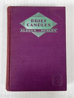 Eight (8) Hard Cover Books Including The Croquet Player, Sally Salt, Brief Candles & Green Margins