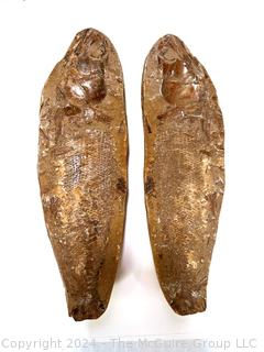 Two Piece Prehistoric Fish Fossil Nodule. 9" long