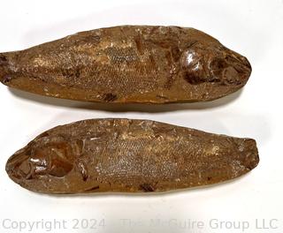 Two Piece Prehistoric Fish Fossil Nodule. 9" long