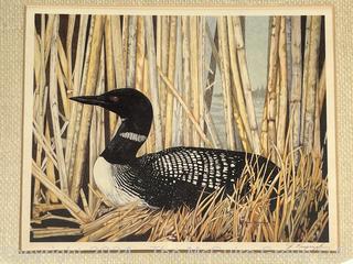 Framed Under Glass Serigraph Print of Loon Signed by Artist Joyce Kasprzyk. 12 x 15"