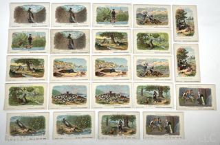 Twenty Three (23) French Victorian Trade Cards Fables De Lafontaine for Solution Pautauberge - Tuberculose