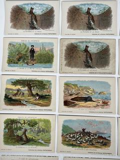 Twenty Three (23) French Victorian Trade Cards Fables De Lafontaine for Solution Pautauberge - Tuberculose