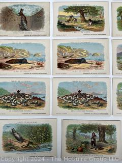 Twenty Three (23) French Victorian Trade Cards Fables De Lafontaine for Solution Pautauberge - Tuberculose