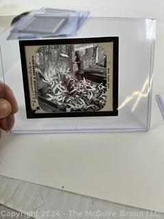 Vintage Circus Slides/Negatives