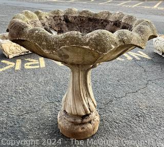 Cast Cement Shell Bird Bath, Two Piece. 