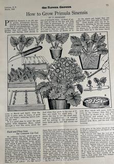 The Flower Garden Magazine, March 1923  (Was 0040)