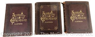 1885 Three (3) Volume Set of Animate Creation  by Rev JG Wood, American Zoology Book