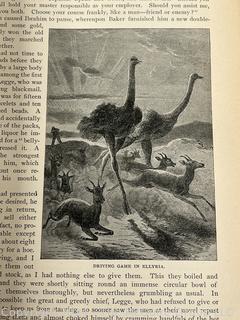 The Worlds Unknown, a Book on Travel Exploration in Africa, the Artic & Asia by JW Buel 1898