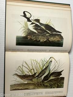 Large Format Edition of The Birds of America by John James Audubon, 1961 Book