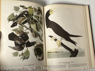 Large Format Edition of The Birds of America by John James Audubon, 1961 Book