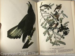 Large Format Edition of The Birds of America by John James Audubon, 1961 Book