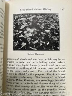 Long Island Natural History by Trumbull Marshall 1928 Book