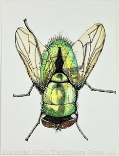 Unframed Watercolor on Paper of Fly Signed by Artist Michelle Tangires.  6" x 8"