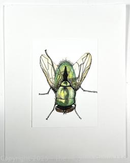 Unframed Watercolor on Paper of Fly Signed by Artist Michelle Tangires.  6" x 8"