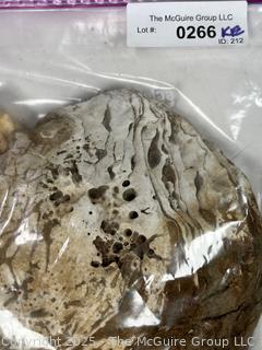 Fossils Including Oyster Shell and Ammonite Fragments