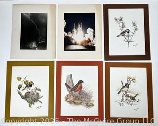 Six  (6) Including Lowell Davis 1970 of Common Birds  and  NASA Space Shuttle Launches. 20 x 12"