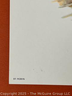 Six  (6) Including Lowell Davis 1970 of Common Birds  and  NASA Space Shuttle Launches. 20 x 12"