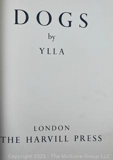 Vintage Animal Books: 1901 John Burroughs "Squirrels and Other Fur-Bearers Animals", and" Dogs by Ylla"