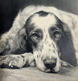 Vintage Animal Books: 1901 John Burroughs "Squirrels and Other Fur-Bearers Animals", and" Dogs by Ylla"
