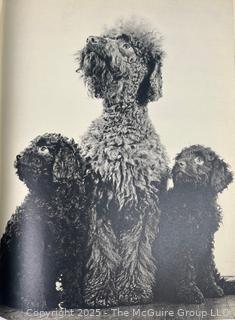 Vintage Animal Books: 1901 John Burroughs "Squirrels and Other Fur-Bearers Animals", and" Dogs by Ylla"