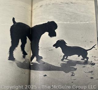 Vintage Animal Books: 1901 John Burroughs "Squirrels and Other Fur-Bearers Animals", and" Dogs by Ylla"