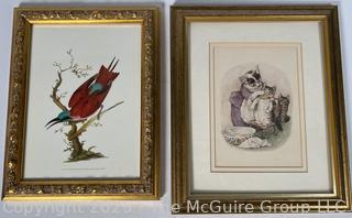 Two (2) Framed Under Glass Prints of a Bird and Cats