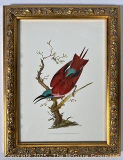 Two (2) Framed Under Glass Prints of a Bird and Cats