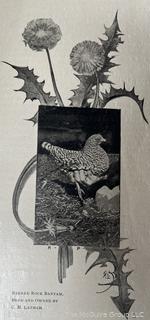 1903 THE BANTAM FOWL: A DESCRIPTION OF ALL STANDARD BREEDS AND By T. F. Mcgrew